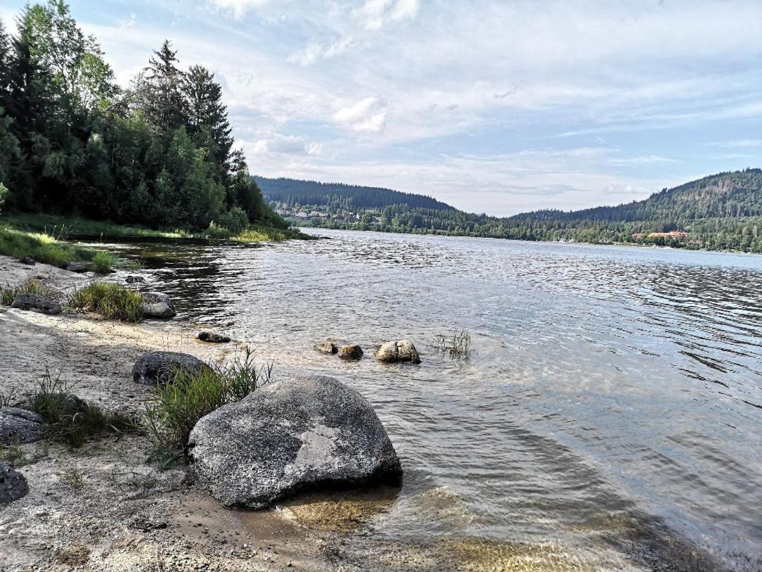 C1 Albmatte-Fewo Sauna, Hallenbad Aussenbecken Massagen Nebenan Menzenschwand-Hinterdorf المظهر الخارجي الصورة