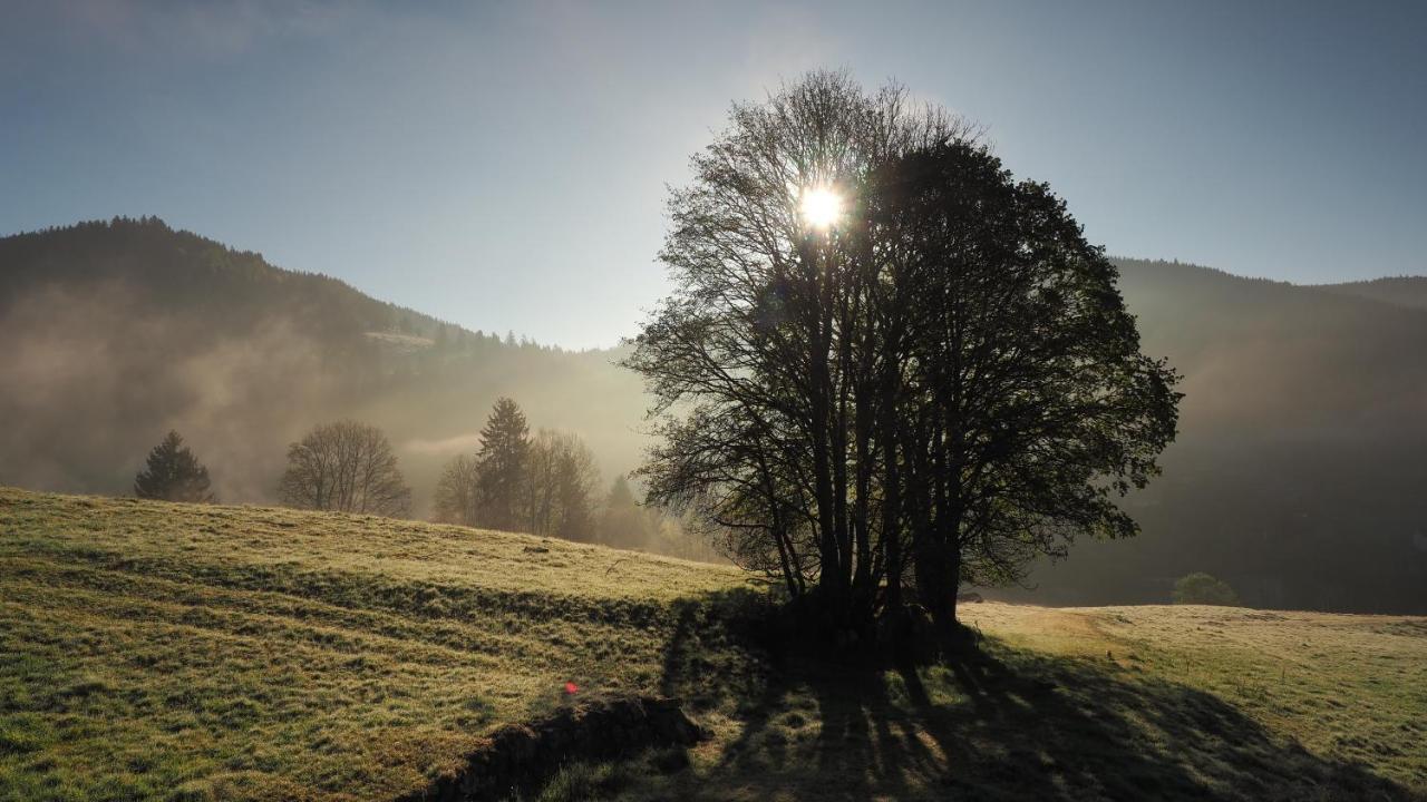 C1 Albmatte-Fewo Sauna, Hallenbad Aussenbecken Massagen Nebenan Menzenschwand-Hinterdorf المظهر الخارجي الصورة