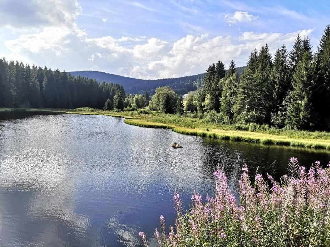 C1 Albmatte-Fewo Sauna, Hallenbad Aussenbecken Massagen Nebenan Menzenschwand-Hinterdorf المظهر الخارجي الصورة