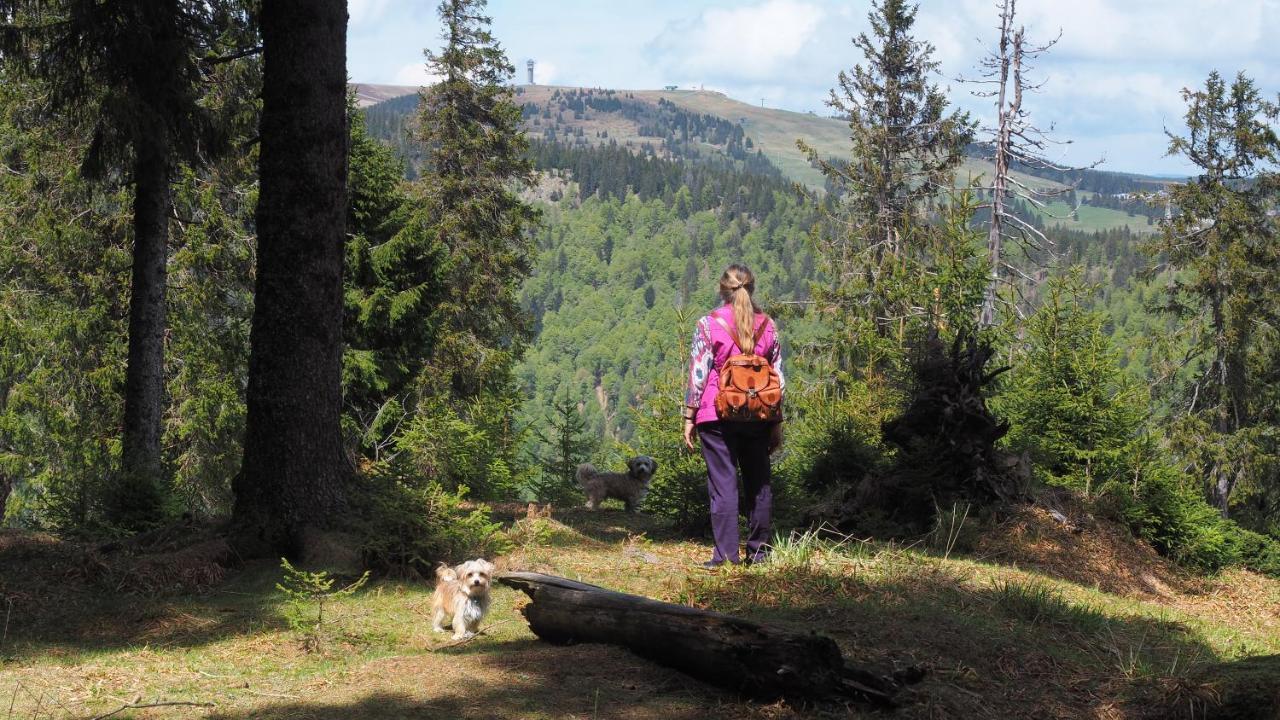 C1 Albmatte-Fewo Sauna, Hallenbad Aussenbecken Massagen Nebenan Menzenschwand-Hinterdorf المظهر الخارجي الصورة