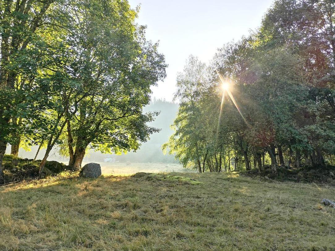 C1 Albmatte-Fewo Sauna, Hallenbad Aussenbecken Massagen Nebenan Menzenschwand-Hinterdorf المظهر الخارجي الصورة