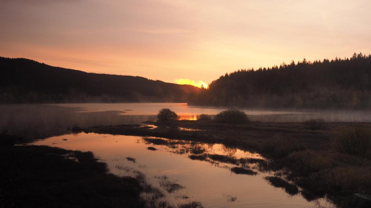 C1 Albmatte-Fewo Sauna, Hallenbad Aussenbecken Massagen Nebenan Menzenschwand-Hinterdorf المظهر الخارجي الصورة