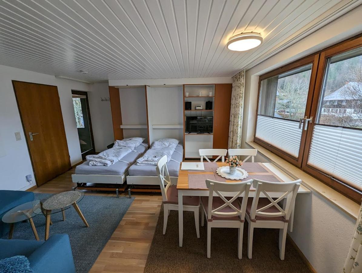 C1 Albmatte-Fewo Sauna, Hallenbad Aussenbecken Massagen Nebenan Menzenschwand-Hinterdorf المظهر الخارجي الصورة