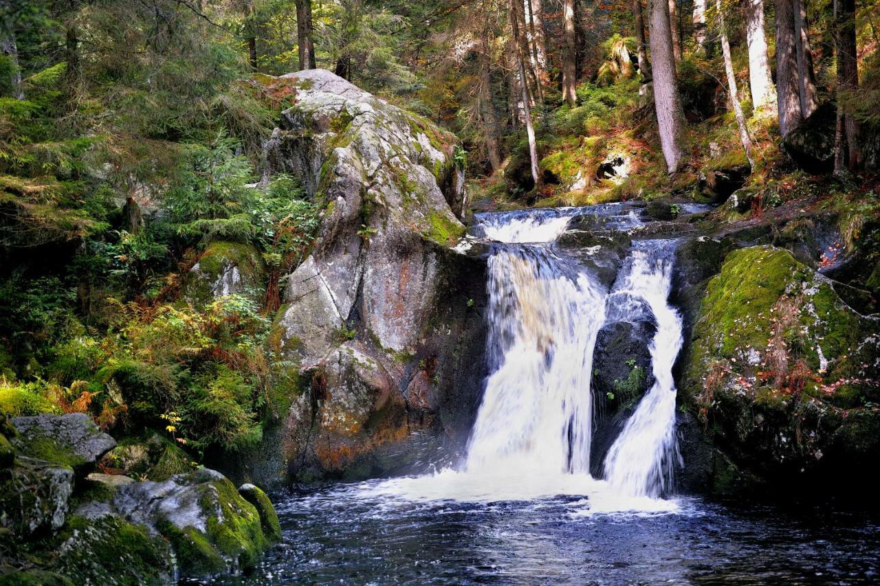 C1 Albmatte-Fewo Sauna, Hallenbad Aussenbecken Massagen Nebenan Menzenschwand-Hinterdorf المظهر الخارجي الصورة