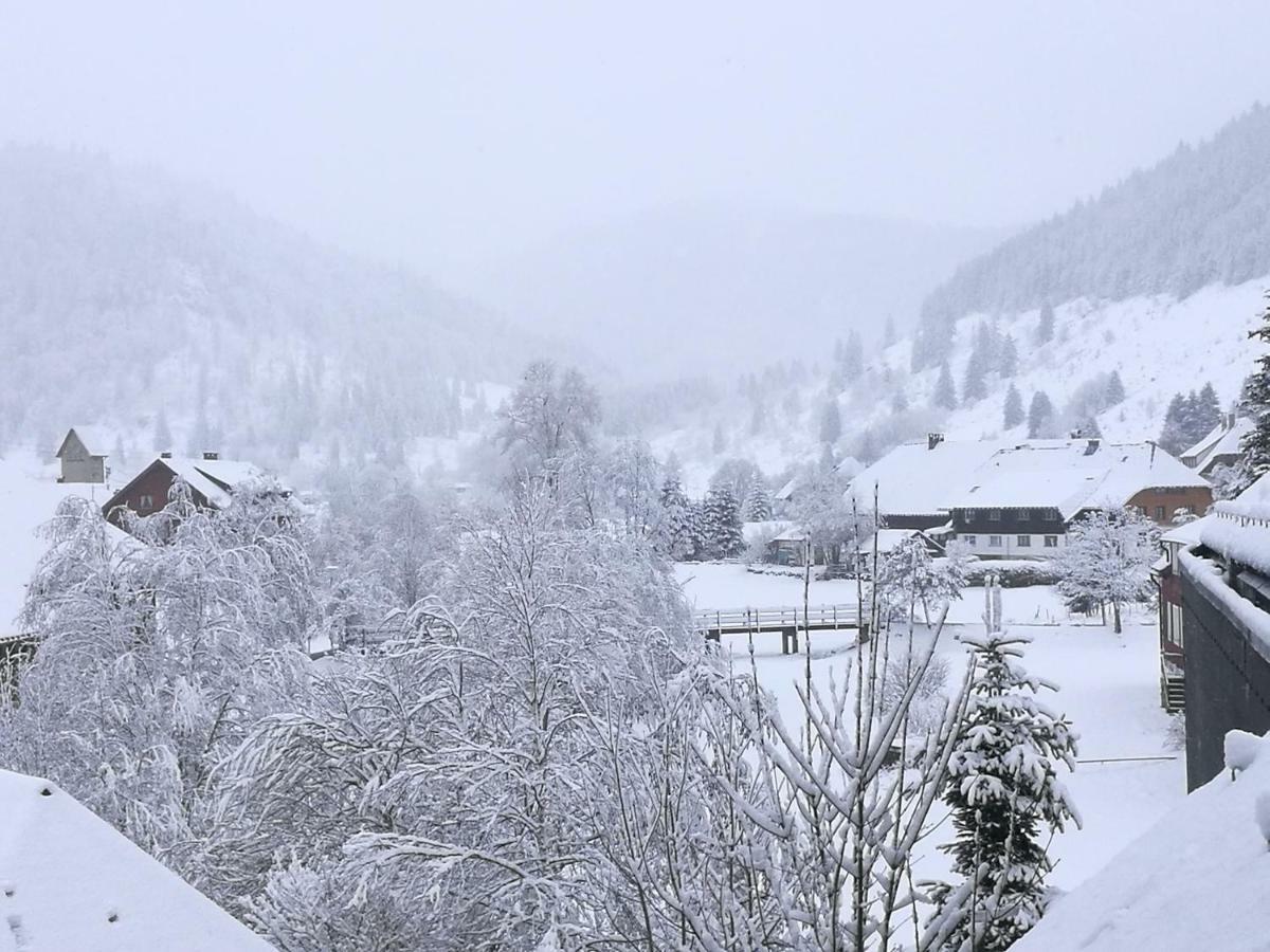 C1 Albmatte-Fewo Sauna, Hallenbad Aussenbecken Massagen Nebenan Menzenschwand-Hinterdorf المظهر الخارجي الصورة