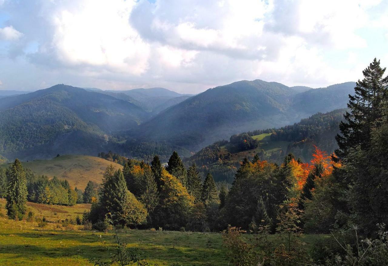 C1 Albmatte-Fewo Sauna, Hallenbad Aussenbecken Massagen Nebenan Menzenschwand-Hinterdorf المظهر الخارجي الصورة