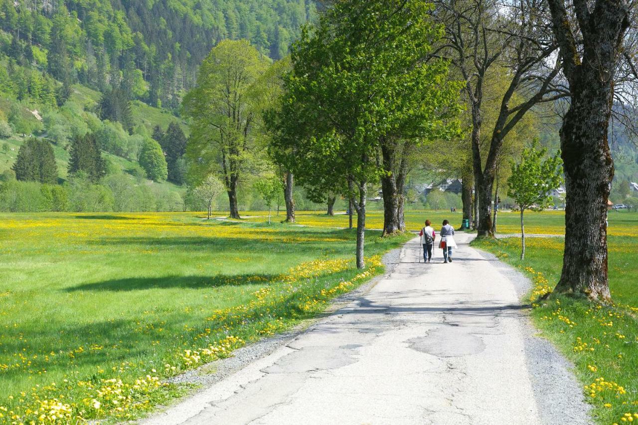 C1 Albmatte-Fewo Sauna, Hallenbad Aussenbecken Massagen Nebenan Menzenschwand-Hinterdorf المظهر الخارجي الصورة