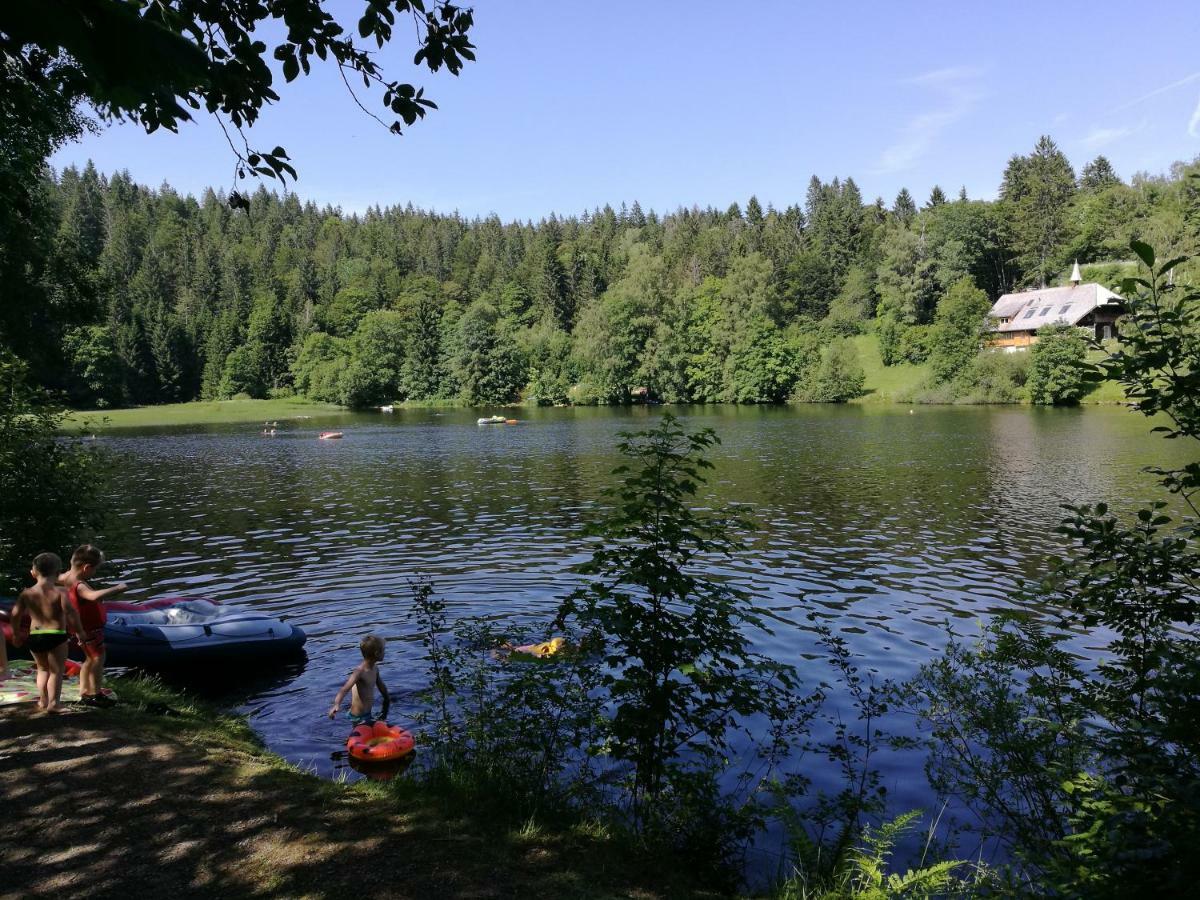 C1 Albmatte-Fewo Sauna, Hallenbad Aussenbecken Massagen Nebenan Menzenschwand-Hinterdorf المظهر الخارجي الصورة