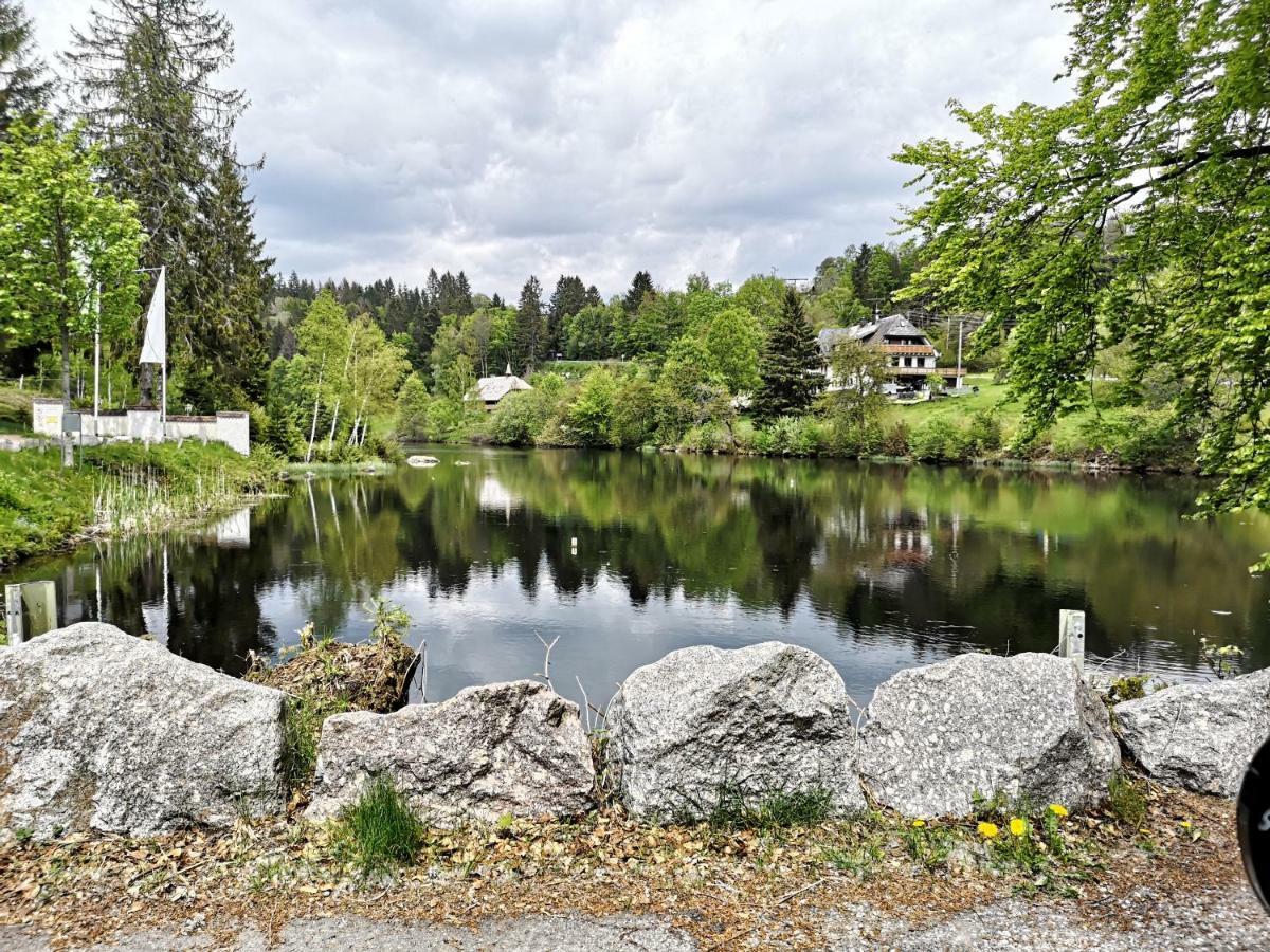 C1 Albmatte-Fewo Sauna, Hallenbad Aussenbecken Massagen Nebenan Menzenschwand-Hinterdorf المظهر الخارجي الصورة