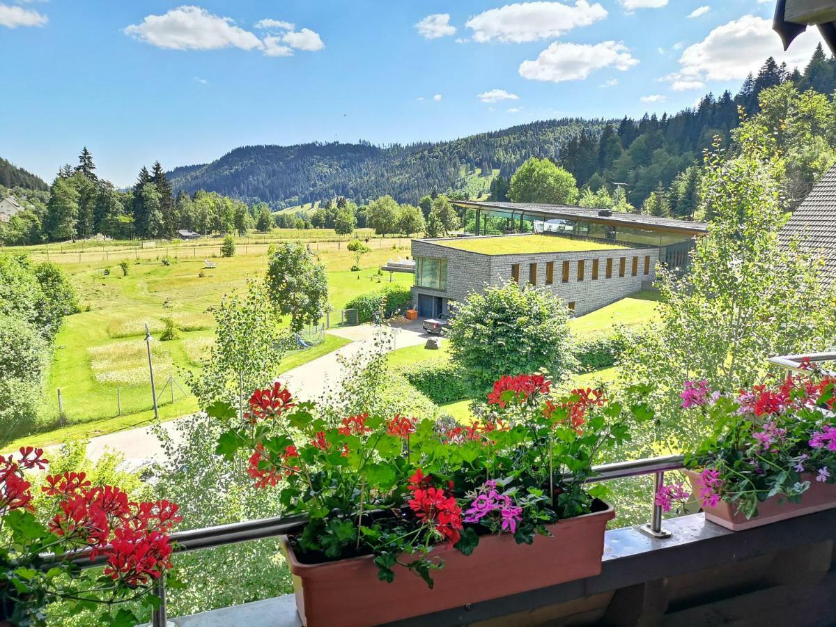 C1 Albmatte-Fewo Sauna, Hallenbad Aussenbecken Massagen Nebenan Menzenschwand-Hinterdorf المظهر الخارجي الصورة