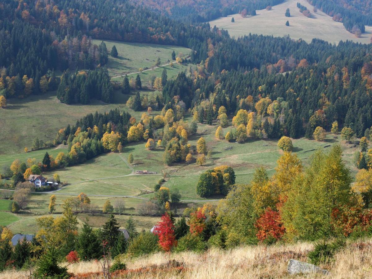 C1 Albmatte-Fewo Sauna, Hallenbad Aussenbecken Massagen Nebenan Menzenschwand-Hinterdorf المظهر الخارجي الصورة